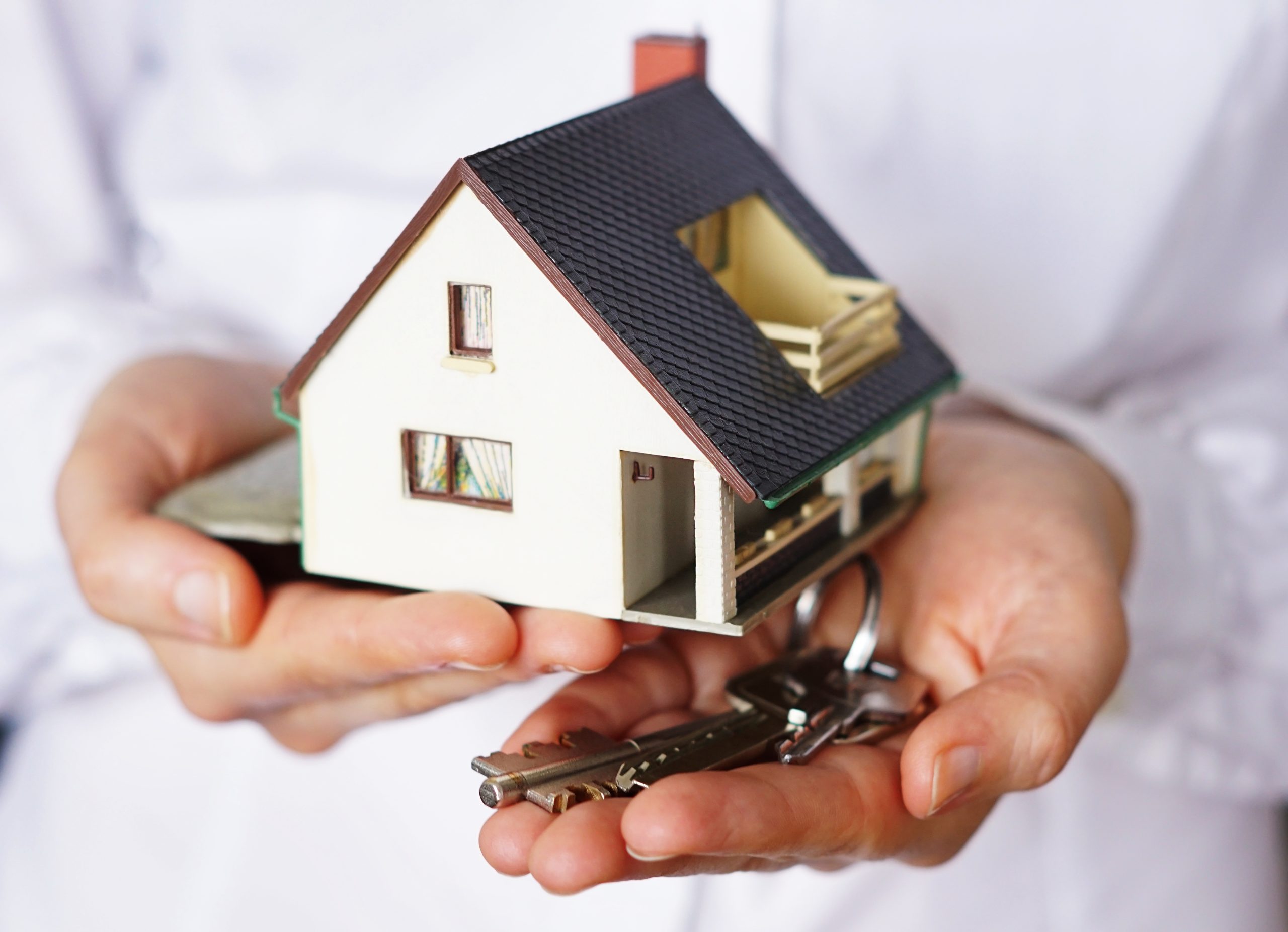 Mau Bisnis Properti Tanpa Modal? 17 Langkah Ini Wajib Diterapkan!
