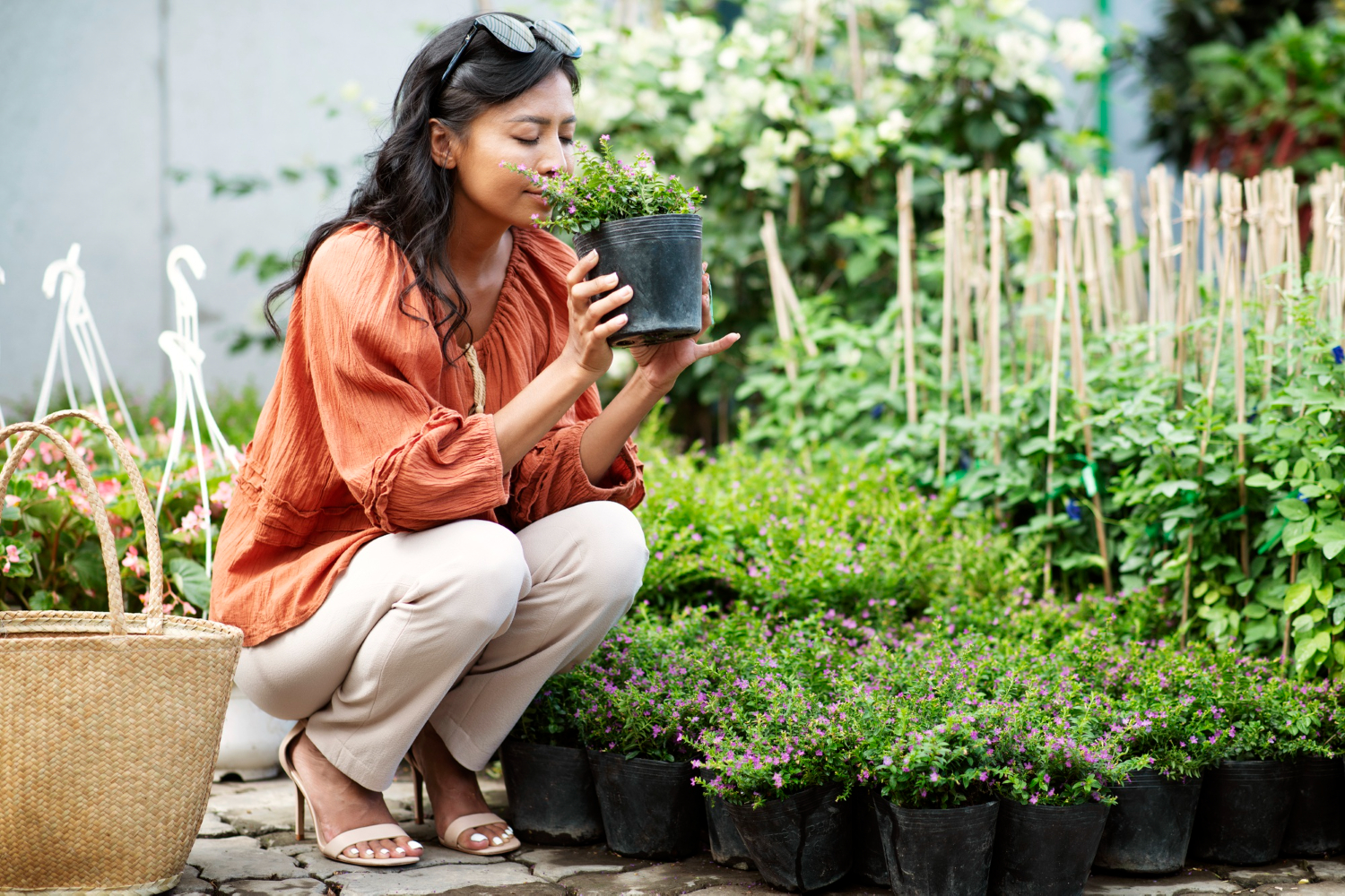 14 Variasi Tanaman Hias Halaman Rumah yang Cantik