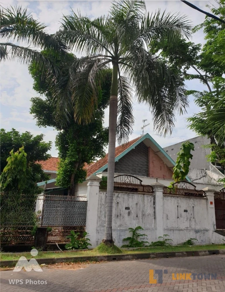 Dijual Rumah Pusat Kota Lompo Batang Sawahan Surabaya Dijual Rumah Pusat Kota Lompo Batang Sawahan Surabaya